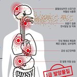 [방탈죄송] 제발 봐 주세요. 당신의 가족은 건강합니까?