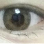 [이삐] 이삐들  나 <b>렌즈</b> 어떤지 좀 봐주라ㅠㅠ