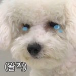 어제 그 친구<b>글</b> 왜 <b>삭제</b>됐지
