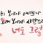 [드루와] 너네가 태어난 날 무슨 꽃이 폈니??