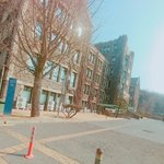 <b>연세대</b> 진짜 예쁜거같다