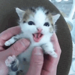 [댓글부탁해] 고1인데 <b>소인</b>수분해 배우고있어