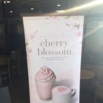 [댓글부탁해] 스벅 체리<b>블러</b>썸+딸기?