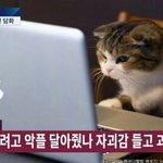 [댓글부탁해] <b>오버</b>워치하는여자 싫음?