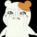 [드루와] 나 너무 노잼이야...