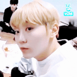 [세븐틴] <b>병</b><b>크</b>