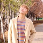 [세븐틴] ㅅㄷ <b>캐럿들</b>!!!