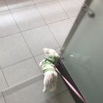 [EXO] <b>푸름</b>이랑 등교준ㅋㅋㅋㅋ