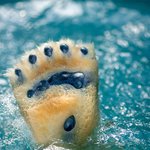 사랑 <b>독차지</b> 할 수 밖에 없는 북극콤