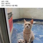 [댓글부탁해] 아 선배랑 친해지고 싶은데 ㄹㅇ <b>폭</b><b>망</b>이야