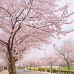 지성인데 <b>속</b><b>건조</b>라 화장 뜨는데