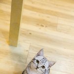 [인피니트] 그렇게 느낄<b>만도</b> 했겠구나