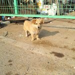 [EXO] 오늘 길가다 본 애긴데 전래 귀여워