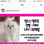 [조언부탁] 이게사람이할짓인가요?