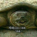 아 낮뜨달
