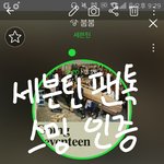 [세븐틴] 너무 마음 아파하지 말자