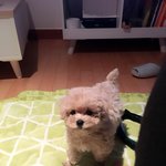 우리애기 정마늘 자랑하고싶어요