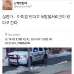 [방탄소년단] 미밤이 때문에