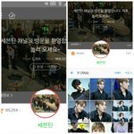 [세븐틴] 난 젤답답한게 플디임