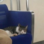 [드루와] 학교 화장 안 들키는 방법 알려준다 다 들어와