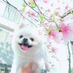 [추반] 급식 <b>각자</b>먹기vs반끼리먹기
