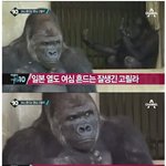 [콜로라도] <b>열도</b>여성들의 마음을 사로잡은...jpg