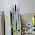 [세븐틴] 난 이게 되게 심각하다 생각했는데