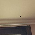 [EXO] <b>무당</b>벌레같은데 어디서 들어온것같음??