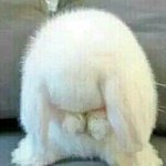 [세븐틴] 팬톡 들어오지말자