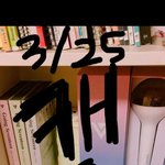 [세븐틴] 어그로 개많네
