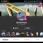 [세븐틴] 나 지금 혼란스러워 정말