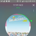 [세븐틴] <b>캐럿</b>들 사과문 말이야