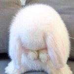 [댓글부탁해] <b>아이돌팬</b>, 애니덕후드라.이게 기분 나쁨?