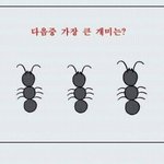 [댓글부탁해] 나 <b>애니메이션</b> 불다 맞지?죄책감 들어