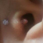 [극혐주의] 얘들아 <b>트라</b>거스 피어싱 이거왜이래?