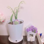 [드루와] 얘들아 내 <b>꽃들</b> 구경하고가!