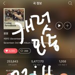 [세븐틴] 캐럿들
