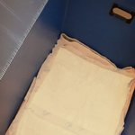 [가을이네] 가을이 출산 했어요 :)