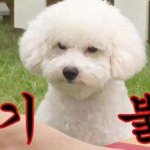 [댓글부탁해] 헬로우쿨<b>피스</b> 느려?