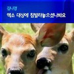 [EXO] 민석이 생일축<b>하행</b>