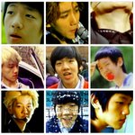 [EXO] 똥백현 애미야 <b>누렁이</b> 데리고가