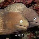 한달<b>뒤</b>에 <b>폰</b> 바꿀건데