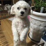 [EXO] 엑톡개63) 엑톡개 타이틀을 얻은 <b>푸름</b>