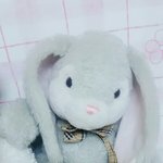 [EXO] 엑톡 공식 토깽이 시켜<b>주</b><b>셈</b>