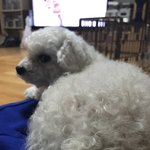 [EXO] 최<b>푸름</b> 엉덩이짤