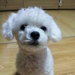 [EXO] 엑톡개65) 경주<b>최</b><b>씨</b> 푸름이의 리즈