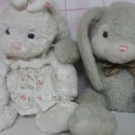 [EXO] 엑톡 공식 토끼듀오 토끼씨스터즈