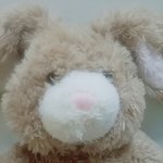 [EXO] 토<b>순이</b>