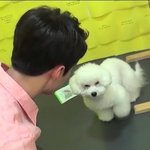 [EXO] 내가 갠적으로 좋아하는 짤임