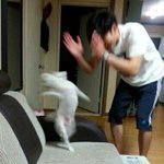 음^^ 얘들아 나요즘 <b>BL</b>에 빠짐